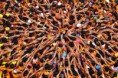/album/galerie-photos/unique-jpg/